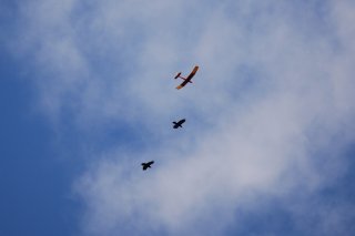 DSC-5379-Electra-High-Flying-With-Friends